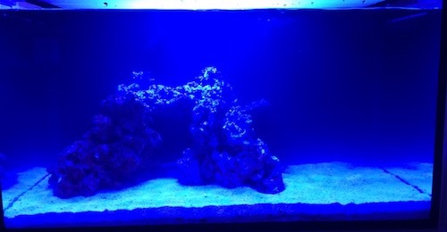 Empty Tank Shot